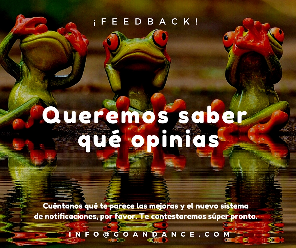 Feedback sobre go&dance